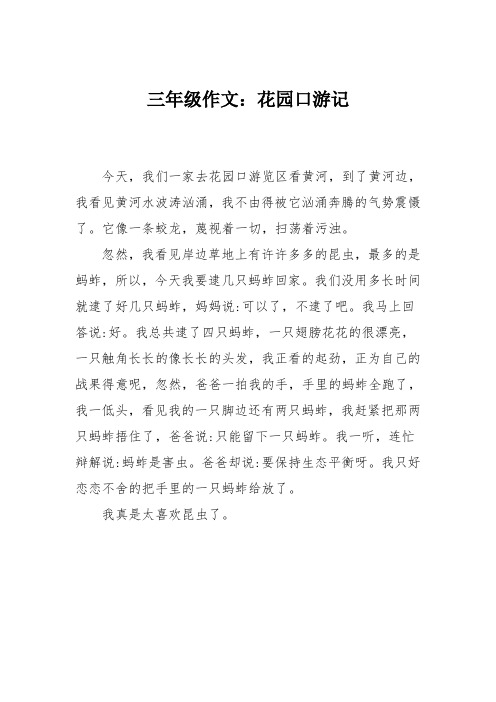三年级作文：花园口游记