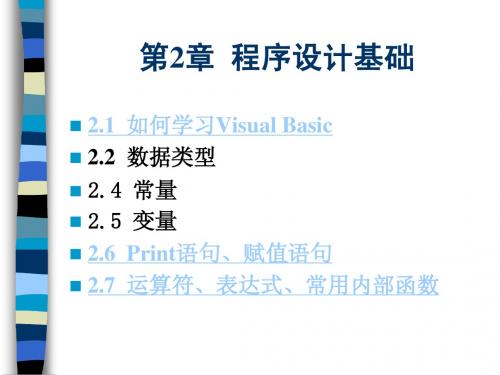 第2章程序设计基础