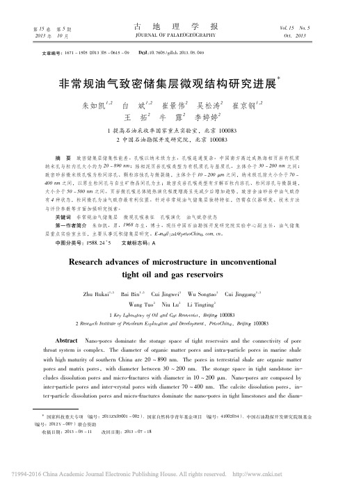 非常规油气致密储集层微观结构研究进展_朱如凯
