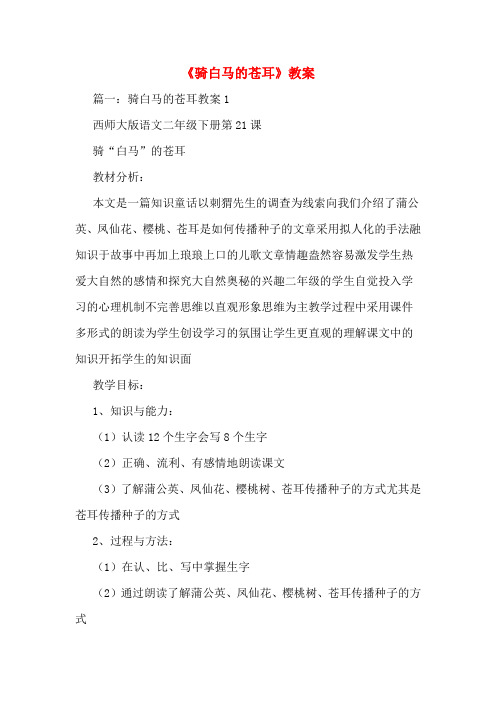 《骑白马的苍耳》教案