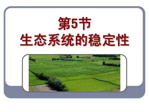 2013年最新高中生物精品教学课件： 生态系统的稳定性(3)(人教版必修3)