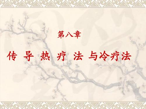 传导热疗法