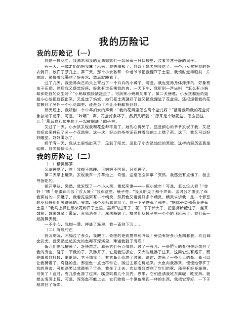 我的历险记共十篇