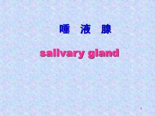 (医学课件)口腔解剖生理学唾液腺
