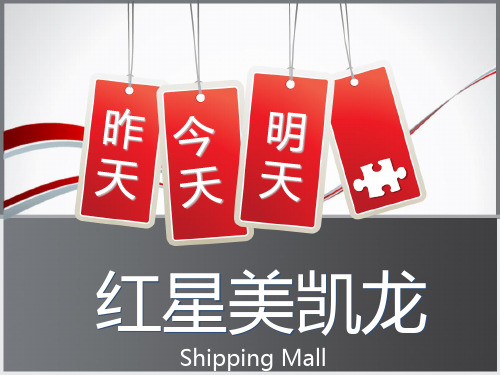 红星美凯龙有采访台词