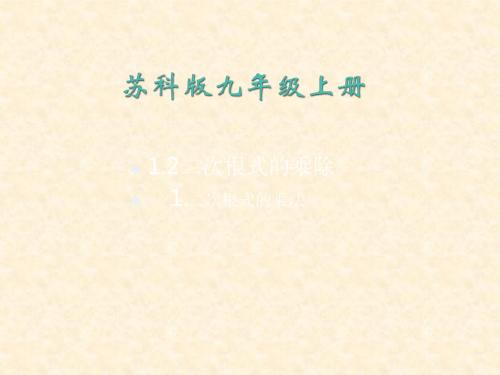 数学：苏科版九年级上1.2《二次根式的乘除》课件(1)(1