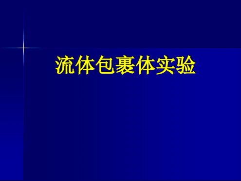 4流体包裹体实验解析