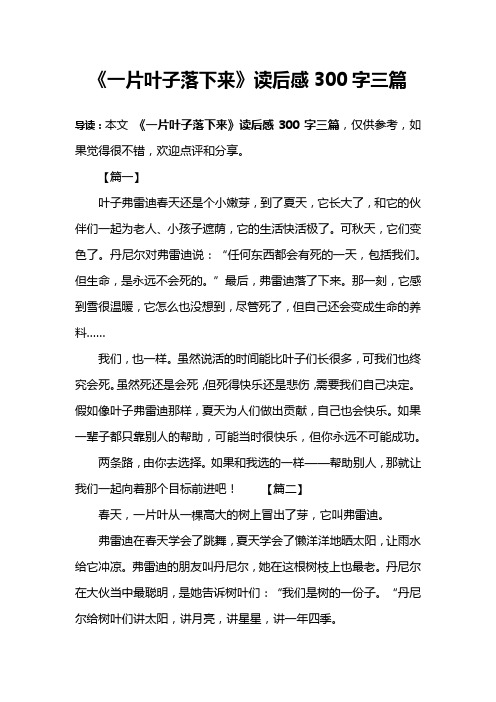 《一片叶子落下来》读后感300字三篇
