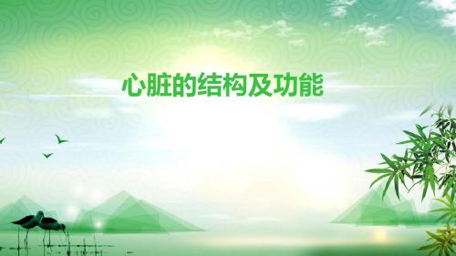 人教版七年级下册生物4.4.3输送血液的泵-心脏 第一课时 心脏的结构和功能课件
