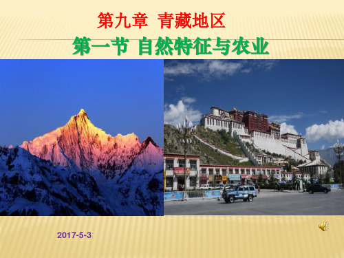 人教版地理八上第九章第1节《青藏地区的自然特征与农业》课件(共46张)
