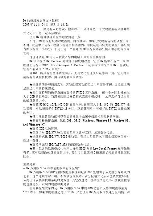 DM的使用方法图文