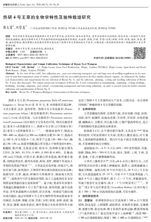 热研4号王草的生物学特性及独特栽培研究