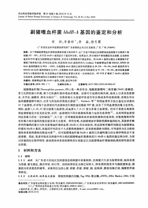 副猪嗜血杆菌hhdB-A基因的鉴定和分析