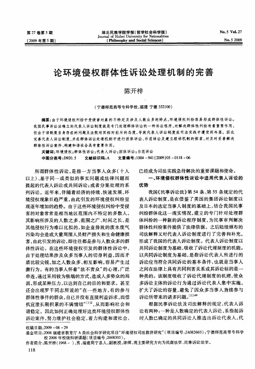 论环境侵权群体性诉讼处理机制的完善
