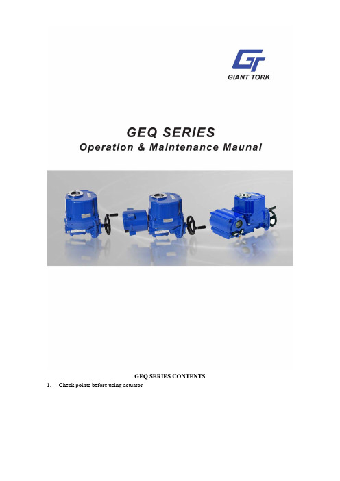 GEQ 手册E