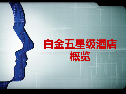白金五星PPT课件