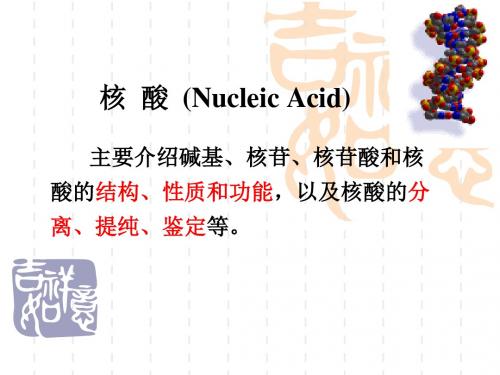 7.核酸