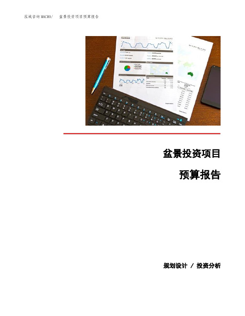 盆景投资项目预算报告