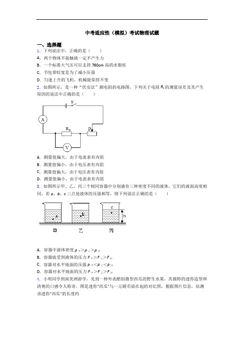 中考适应性(模拟)考试物理试题