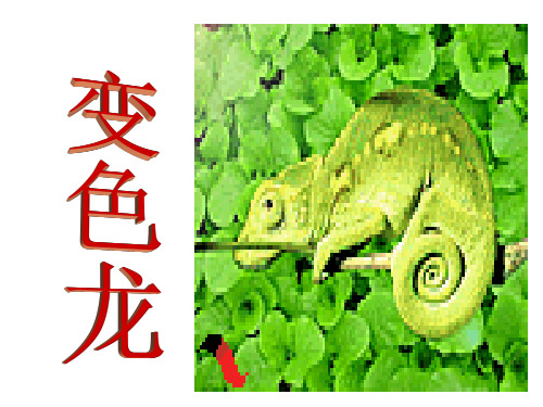 一年级美术_变色龙(课堂PPT)