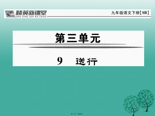 九年级语文下册第三单元9《送行》课件(新版)苏教版
