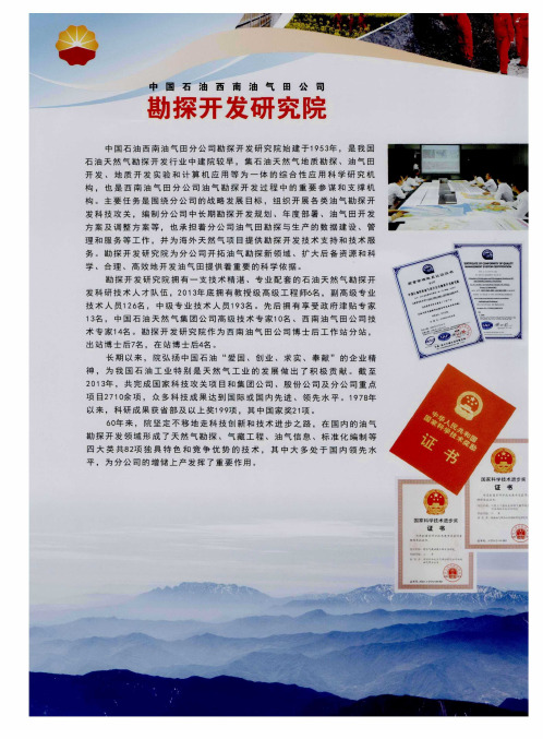 中国石油西南油气田公司勘探开发研究院