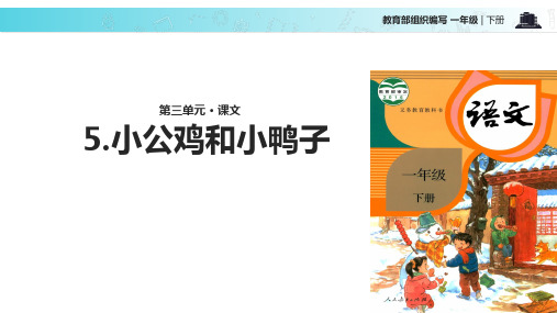 部编版一年级语文(下)PPT《小公鸡和小鸭子》课件分析