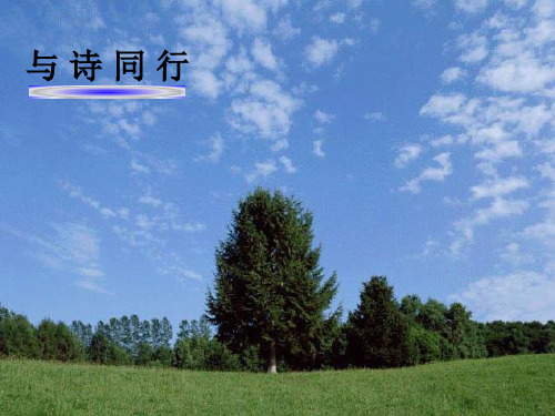 与诗同行
