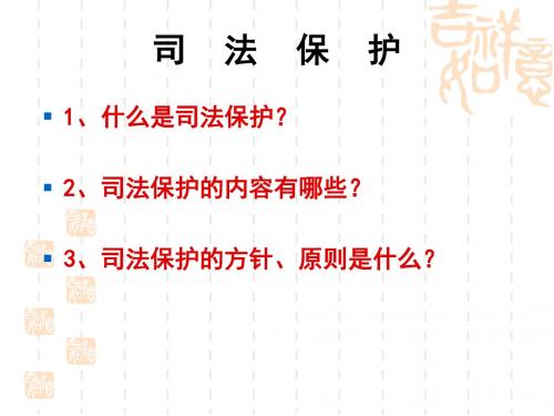 社会保护和司法保护