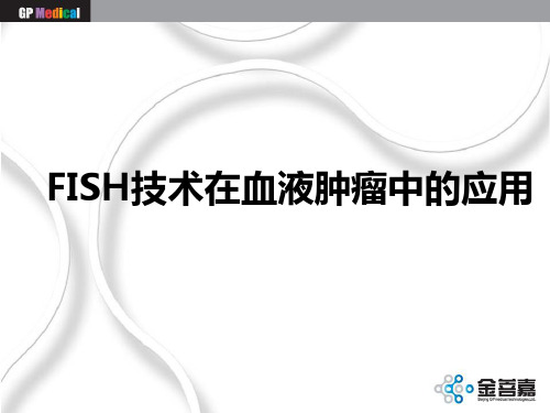 FISH检测在血液肿瘤中的应用-临床宣讲