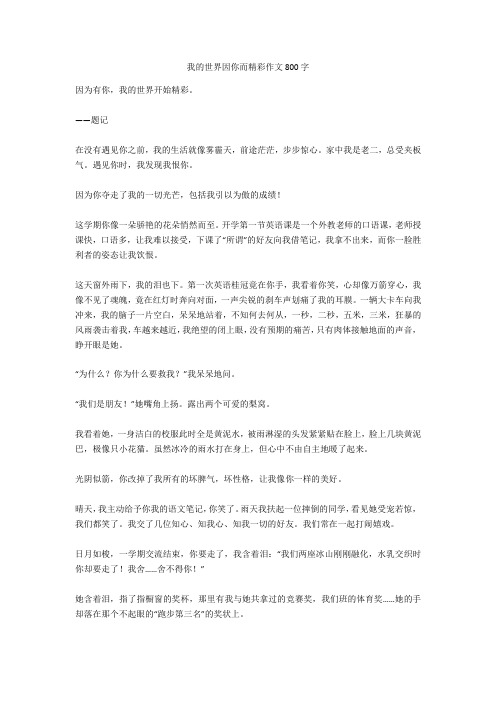 我的世界因你而精彩作文800字优秀版