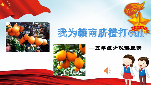 小学综合实践活动《会服务活动  4.红领巾爱心义卖行动》优质课件_13