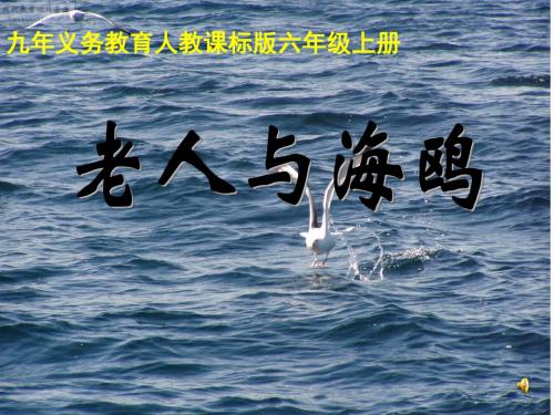 人教版小学语文六年级上册《 21 老人与海鸥》 公开课ppt课件_0