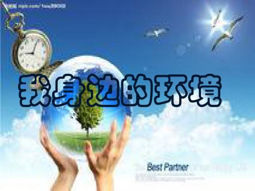二年级品德与生活《我身边的环境》PPT课件(教科版)