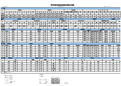 发电厂日报表模板