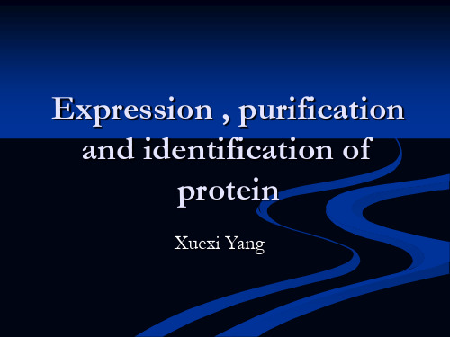 Expression , purification and identification of protein