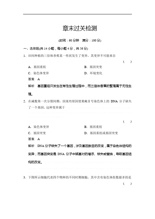 人教版高中生物必修二第五章过关检测题库
