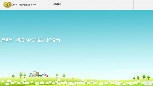 2018版高中生物第四章细胞的物质输入和输出4.1物质跨膜运输的实例课件