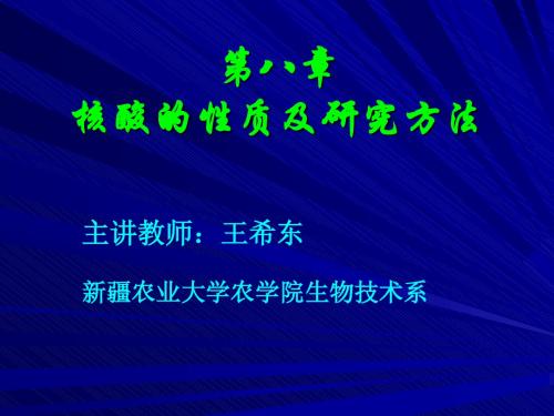 第八章 核酸的理化性质 - 复制