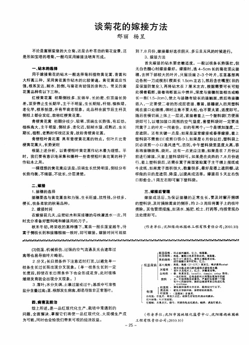 谈菊花的嫁接方法
