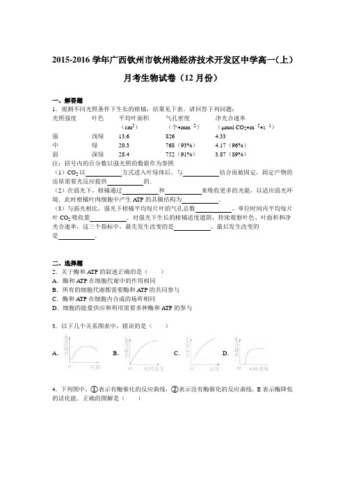 广西钦州市钦州港经济技术开发区中学2015-2016学年高一(上)月考生物试卷(12月份)(解析版)