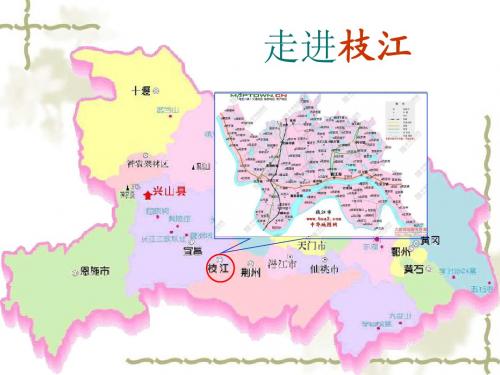 枝江简介