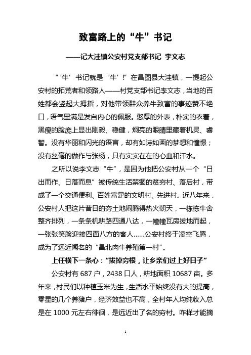 致富路上的“牛”书记-记大洼镇公安村党支部书记李文志