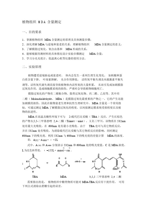 植物组织MDA含量测定