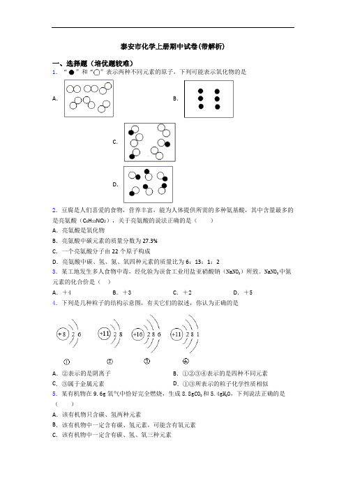 泰安市初三化学上册期中试卷(带解析)