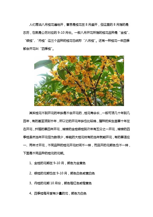 桂花什么时候开花