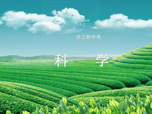 2015年浙江新中考 第7讲 认识简单机械
