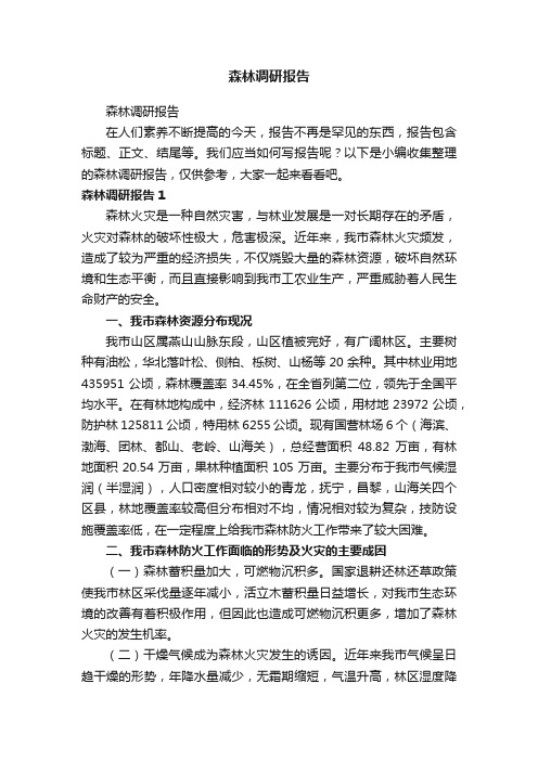 森林调研报告