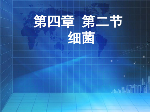 人教版生物八年级上册5.4.2细菌-课件