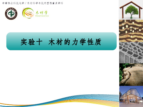 木材学(9.5.1)--实验10木材力学性质